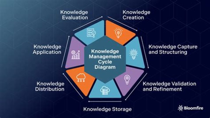How does knowledge management system help organization?