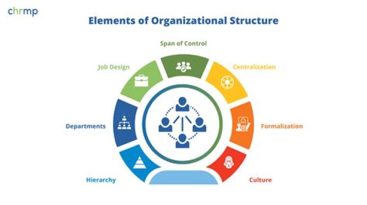 How does management contribute to the success of an Organisation?