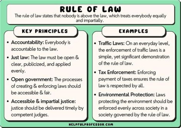 How does rule of law promote business activity?
