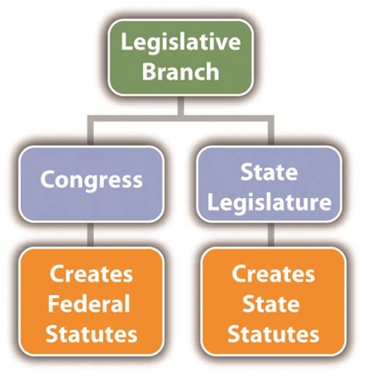 How does the legislative branch control taxes?