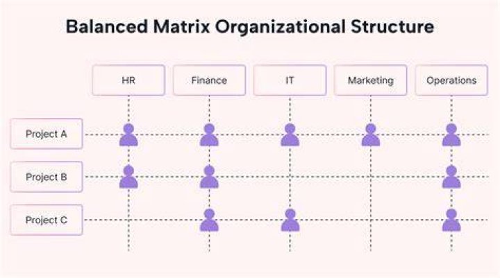 How does the matrix organization affect project management?