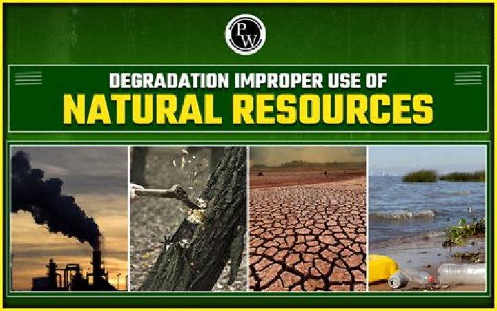 How has Germany made up for its shortage of natural resources?