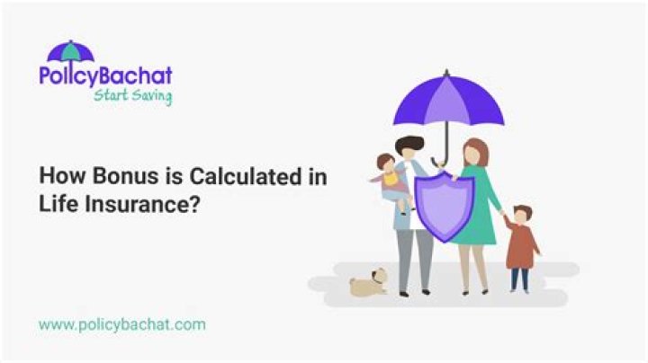 How is bonus ratio calculated?