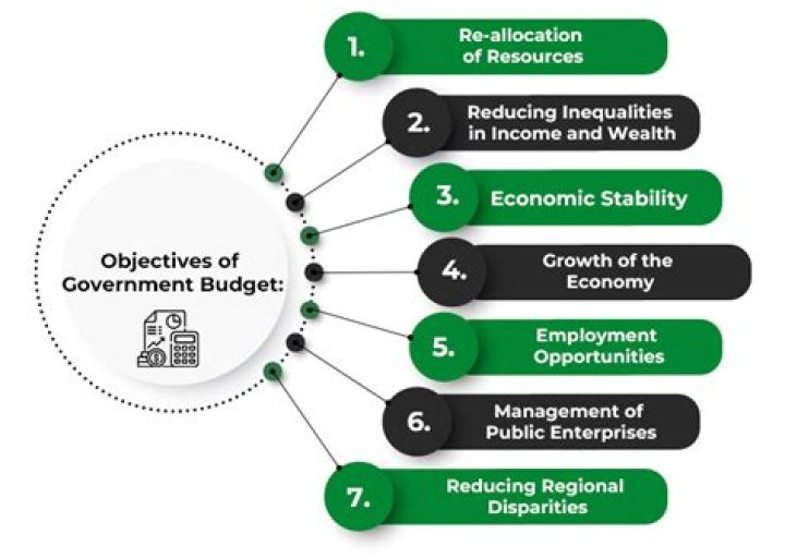 How is the government affected by a business?