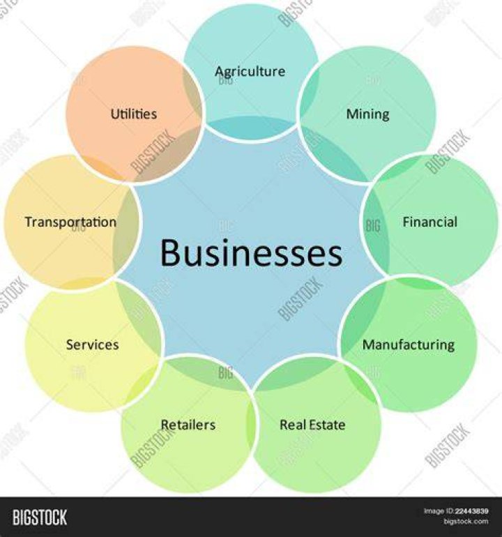 How many business types are there?