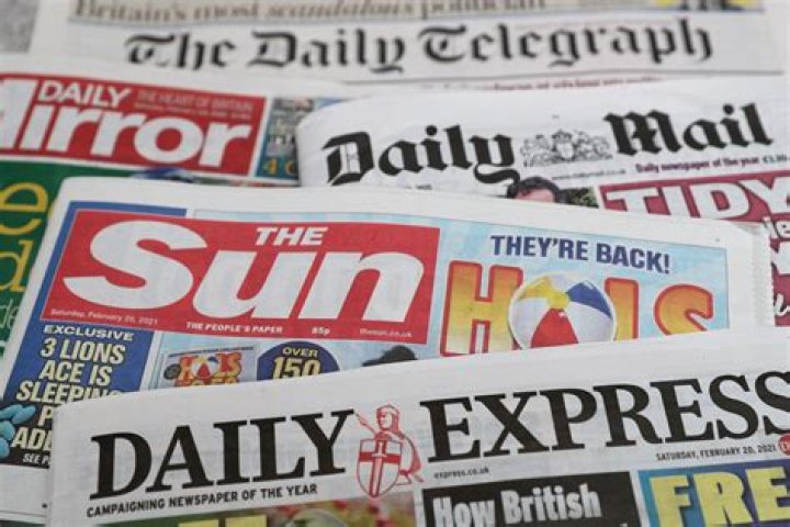 How many daily newspapers are there?