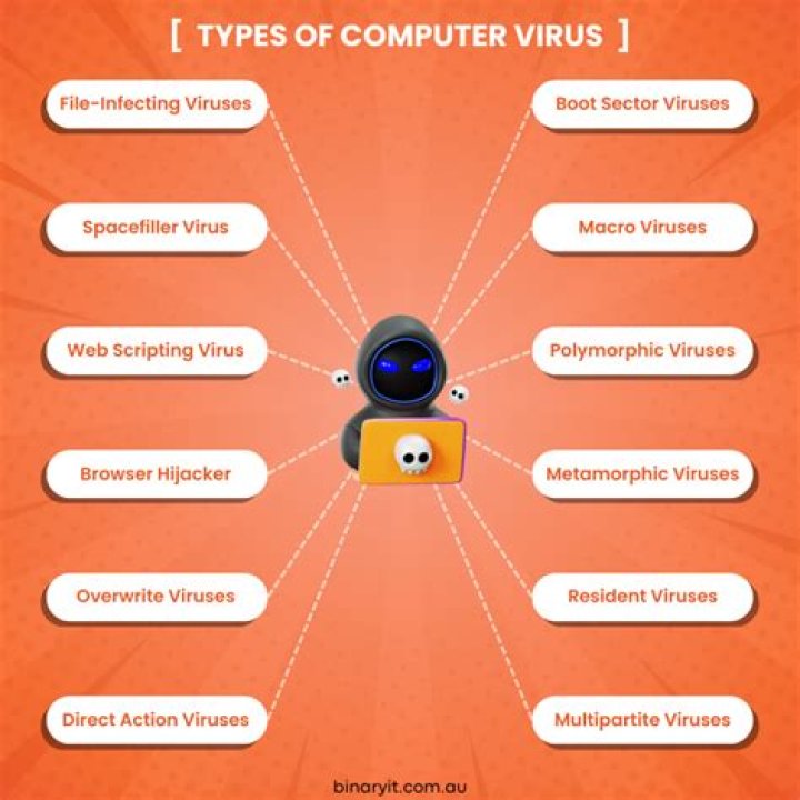 How many types of Internet viruses are there?