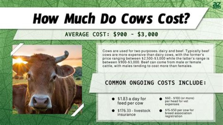 How much do dairy owners make?