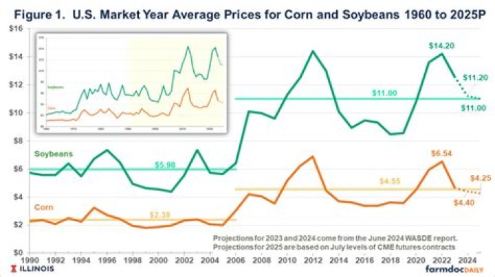 How much does a bushel of corn cost 2020?