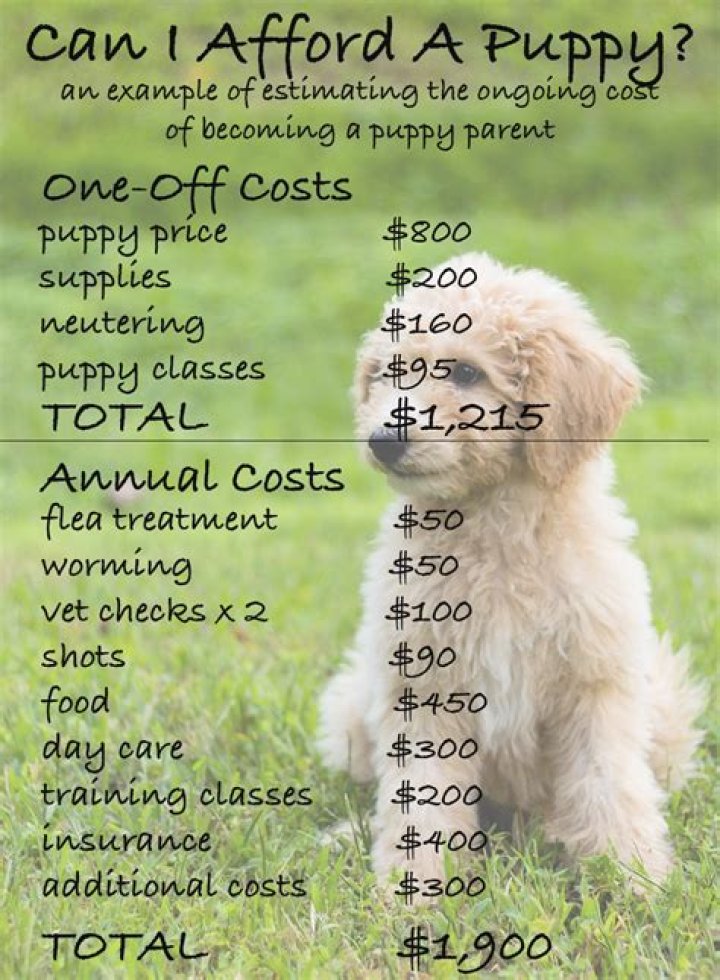 How much does it cost to buy a puppy?