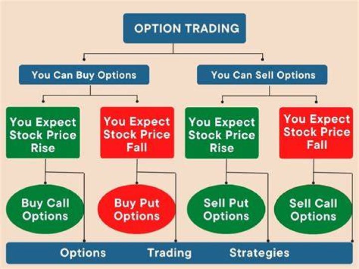 How much does it cost to buy an option contract?