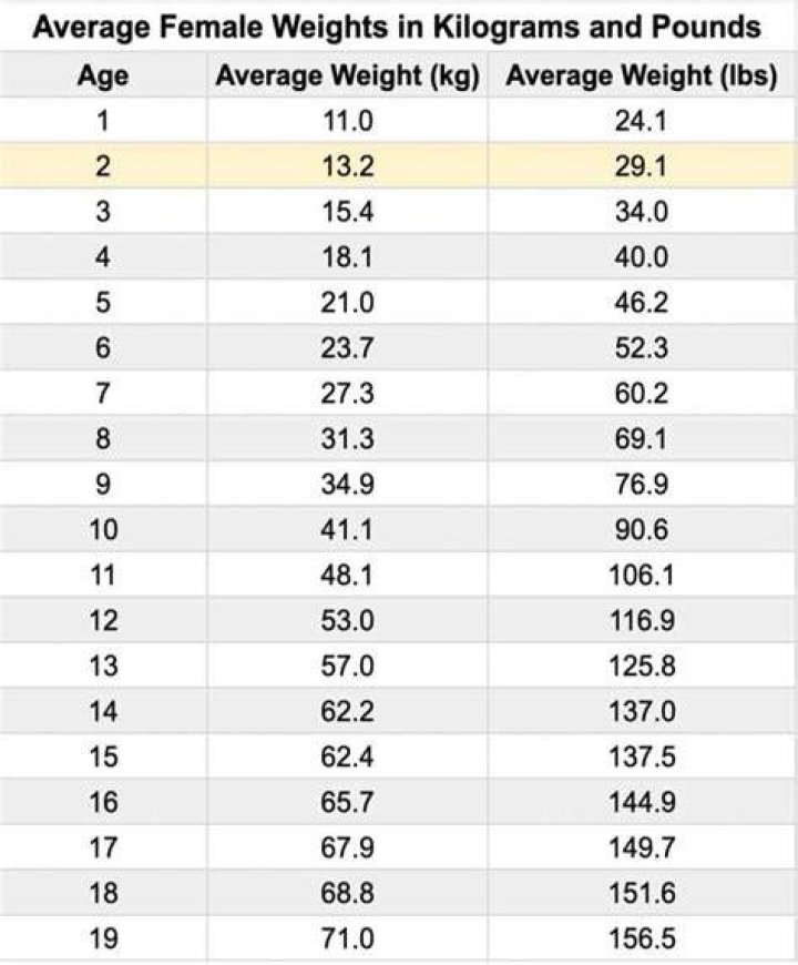 How much does the average cabinet weigh?