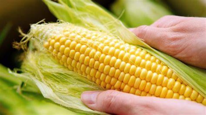 How much is 1 pound of corn on the cob?