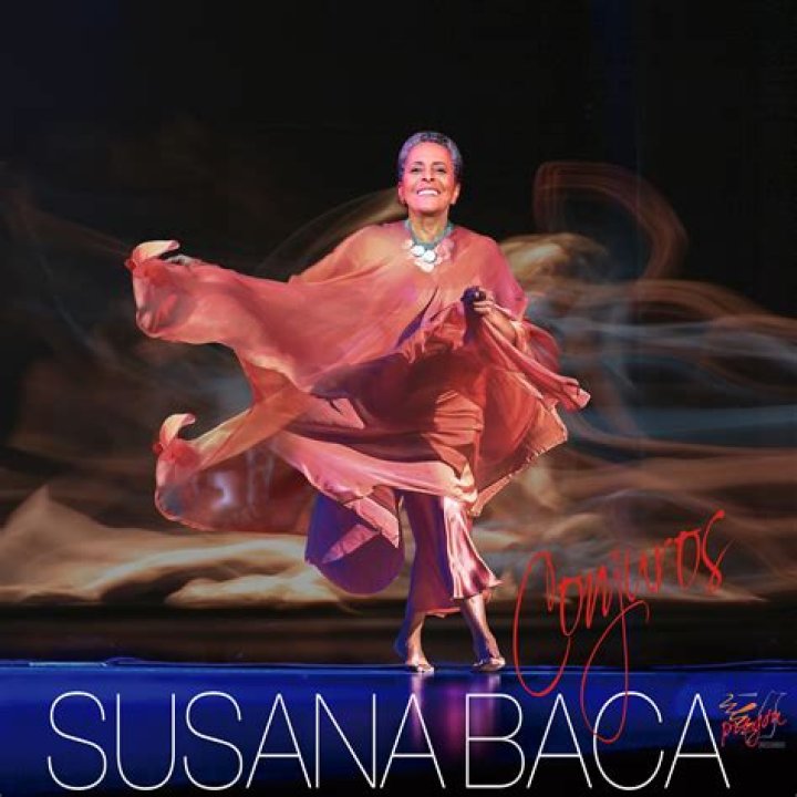 How much is Susana jimenez Worth?
