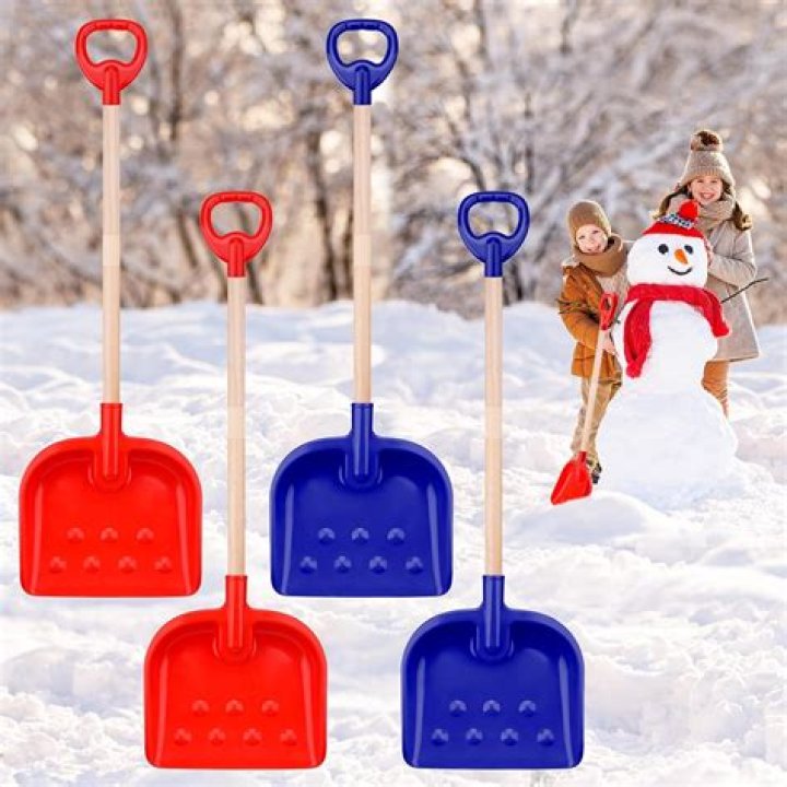 How much should you pay a kid to shovel snow?