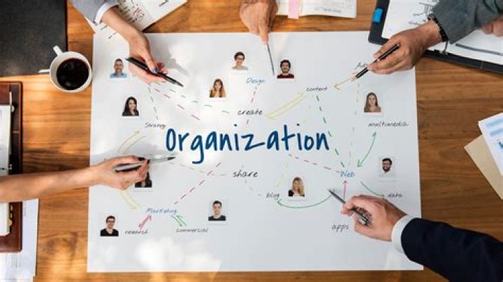 How Organisation can help?