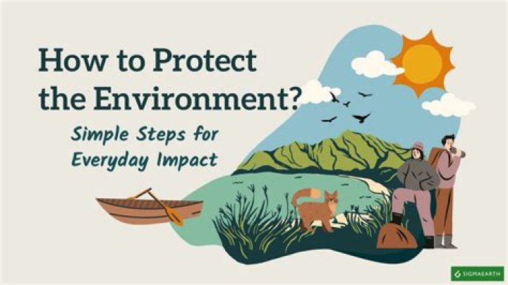 How we can protect environment?