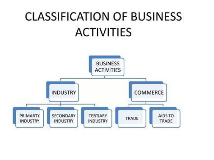 How would you classify business activities explain?