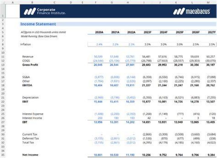 In which income statement sales is considered equal to 100?