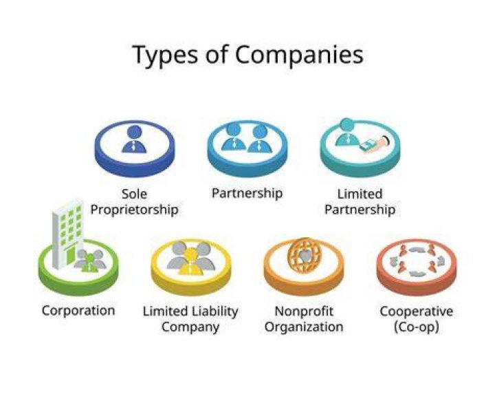 Is a limited company classed as a public company?