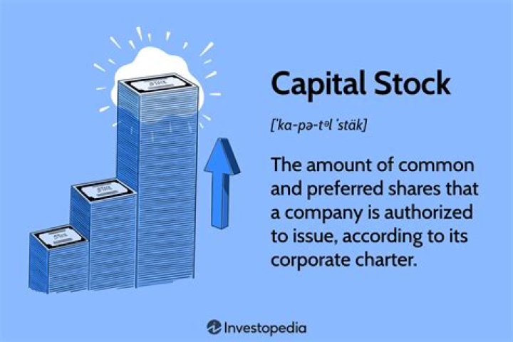 Is capital stock a current asset?