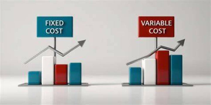 Is car a fixed or variable cost?