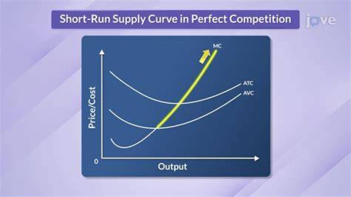 Is car manufacturing a perfectly competitive market?
