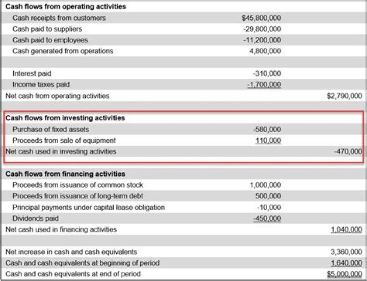 Is cash purchases an operating activity?