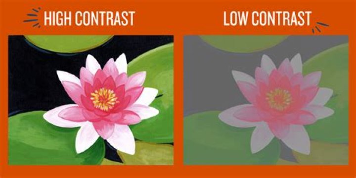 Is difference the same as contrast?