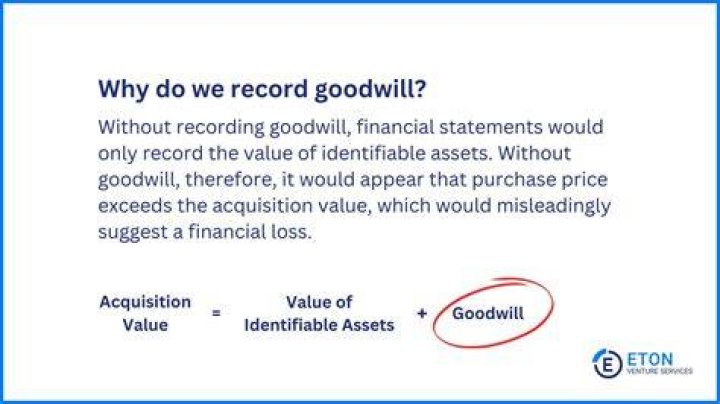 Is goodwill an operating asset or financial asset?