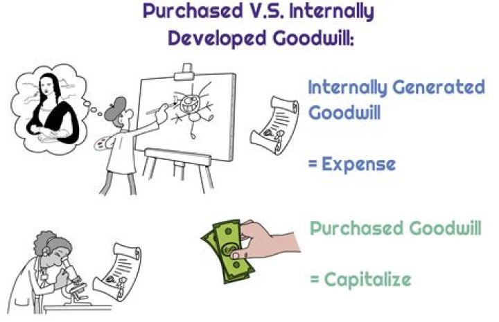 Is goodwill expensed or capitalized?
