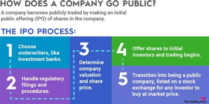 Is Goya publicly traded company?
