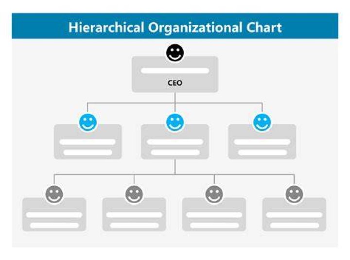 Is it really necessary for the organization to have an accounting system Why or why not?