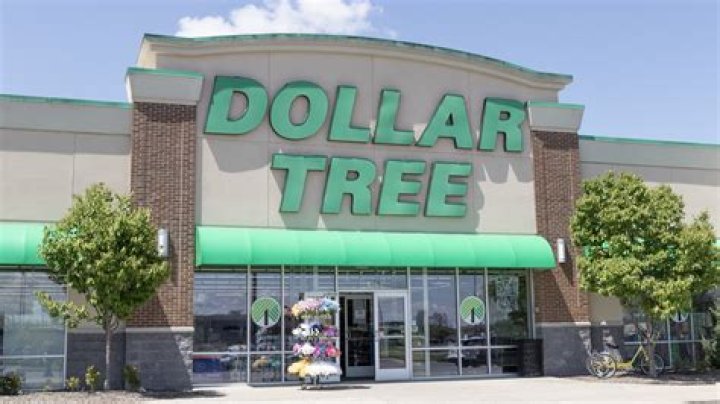 Is owning a dollar store a good investment?