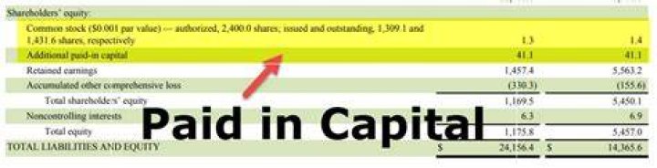 Is paid in capital a credit balance?