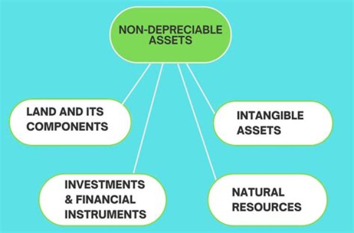 Is plant a depreciable asset?