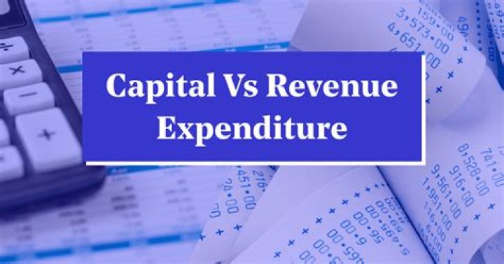 Is purchase a capital or revenue expenditure?
