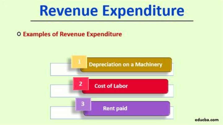 Is purchase of machinery revenue expenditure?