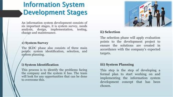 Is responsible for designing and developing information system?