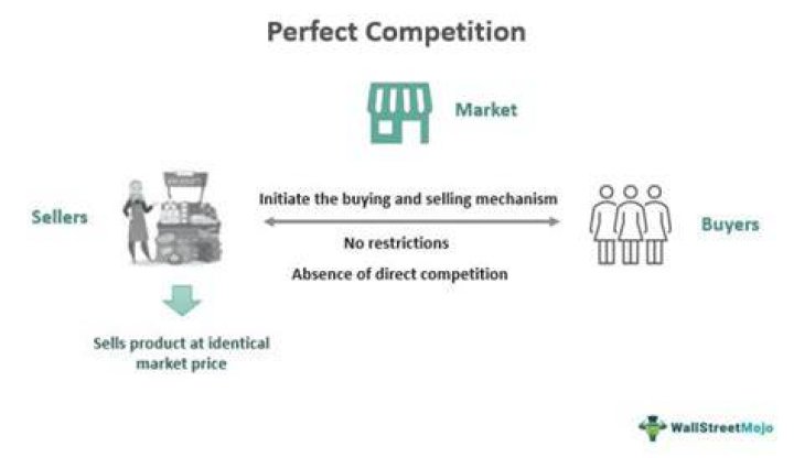 Is the automobile industry an example of perfect competition?