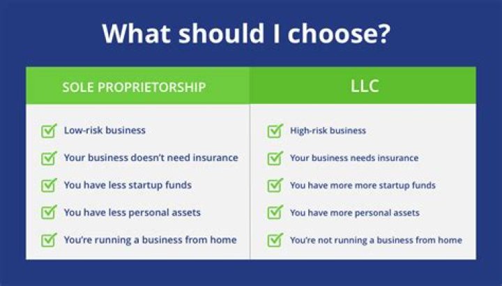 Is the sole member of an LLC the owner?