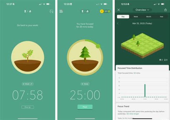 Is there an app that automatically translates?