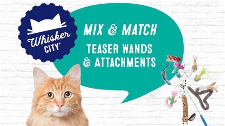 Is Whisker City a PETsMART brand?