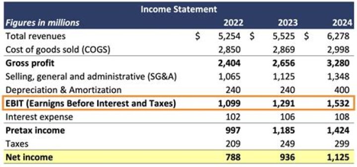 Should minority interest be included in net income?