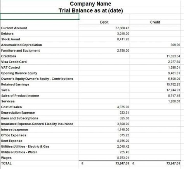 What accounts go in the trial balance?