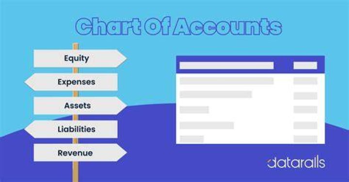 What accounts would use T accounts?