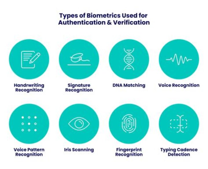 What are 4 examples of biometrics currently being used?