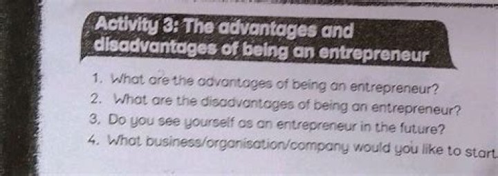 What are advantages and disadvantages of being an entrepreneur?