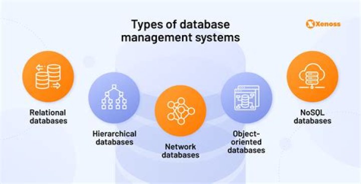 What are advantages of business databases?