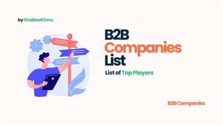 What are B2B companies?